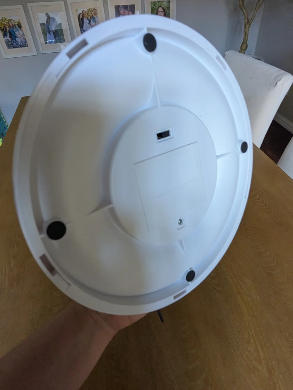 Source Unknown White Cat Play Dome with Feather Wand